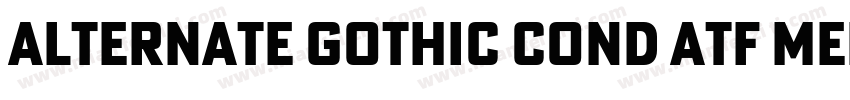 Alternate Gothic Cond ATF Medium字体转换